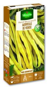 Haricot Grimpant Beurre Merveille de Venise